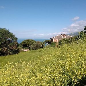 B&B Casa Ninni